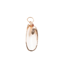 Accessories Shell Pendant - Gold